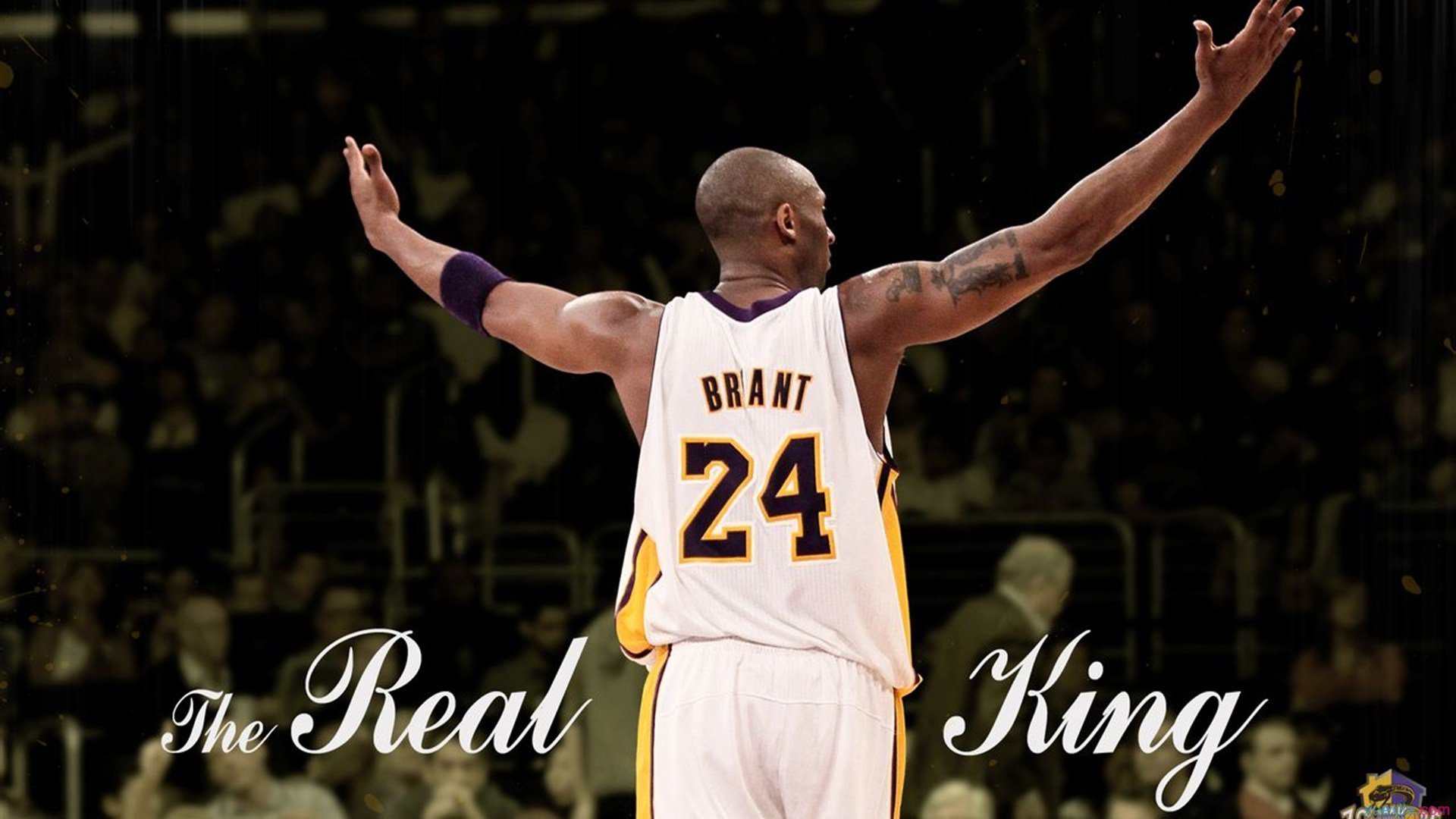 _运动摄影展：捕捉运动瞬间的艺术_，运动摄影有哪些形式