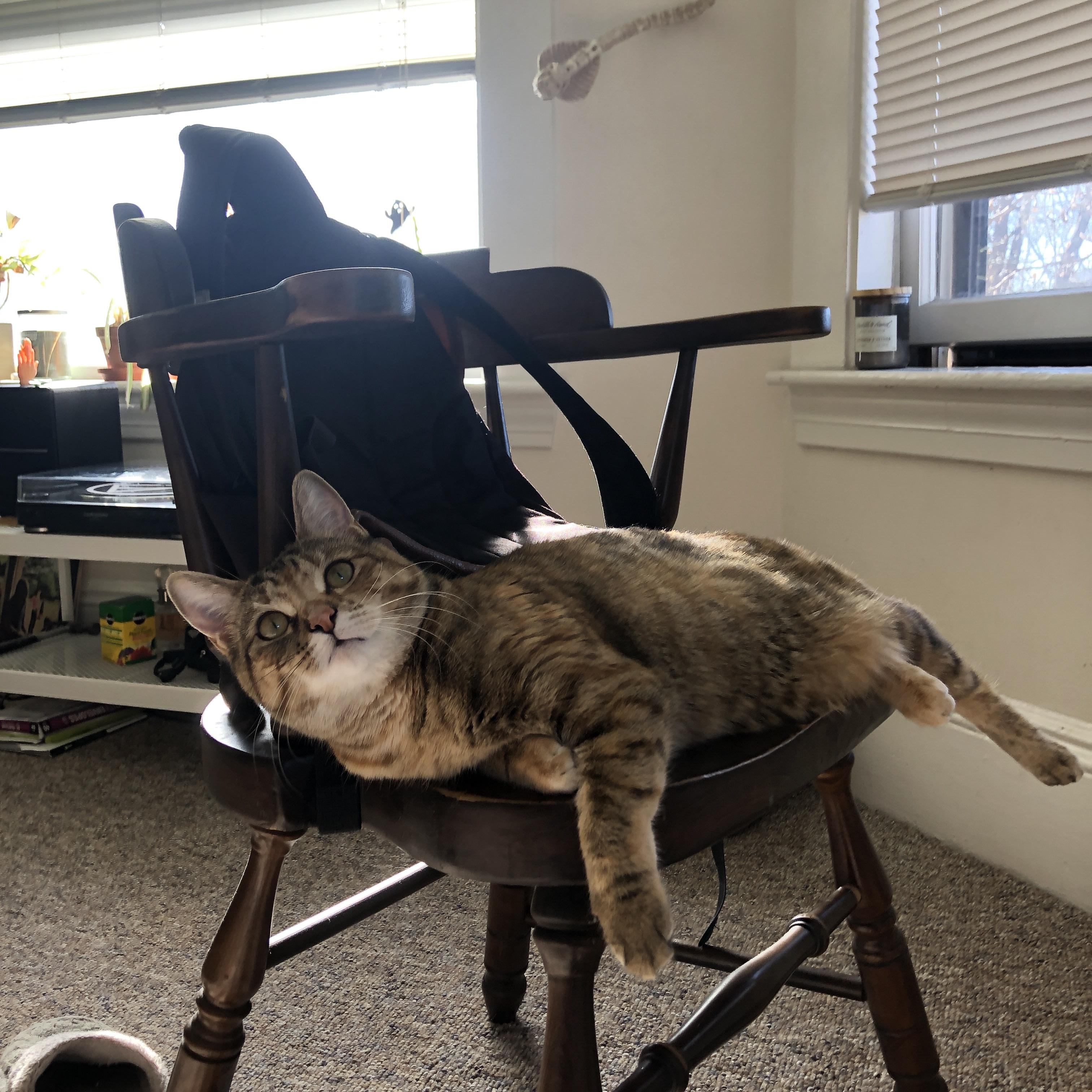 【名将故事】马克·塞尔比逆风而行的坚韧精神，马克塞尔比童年