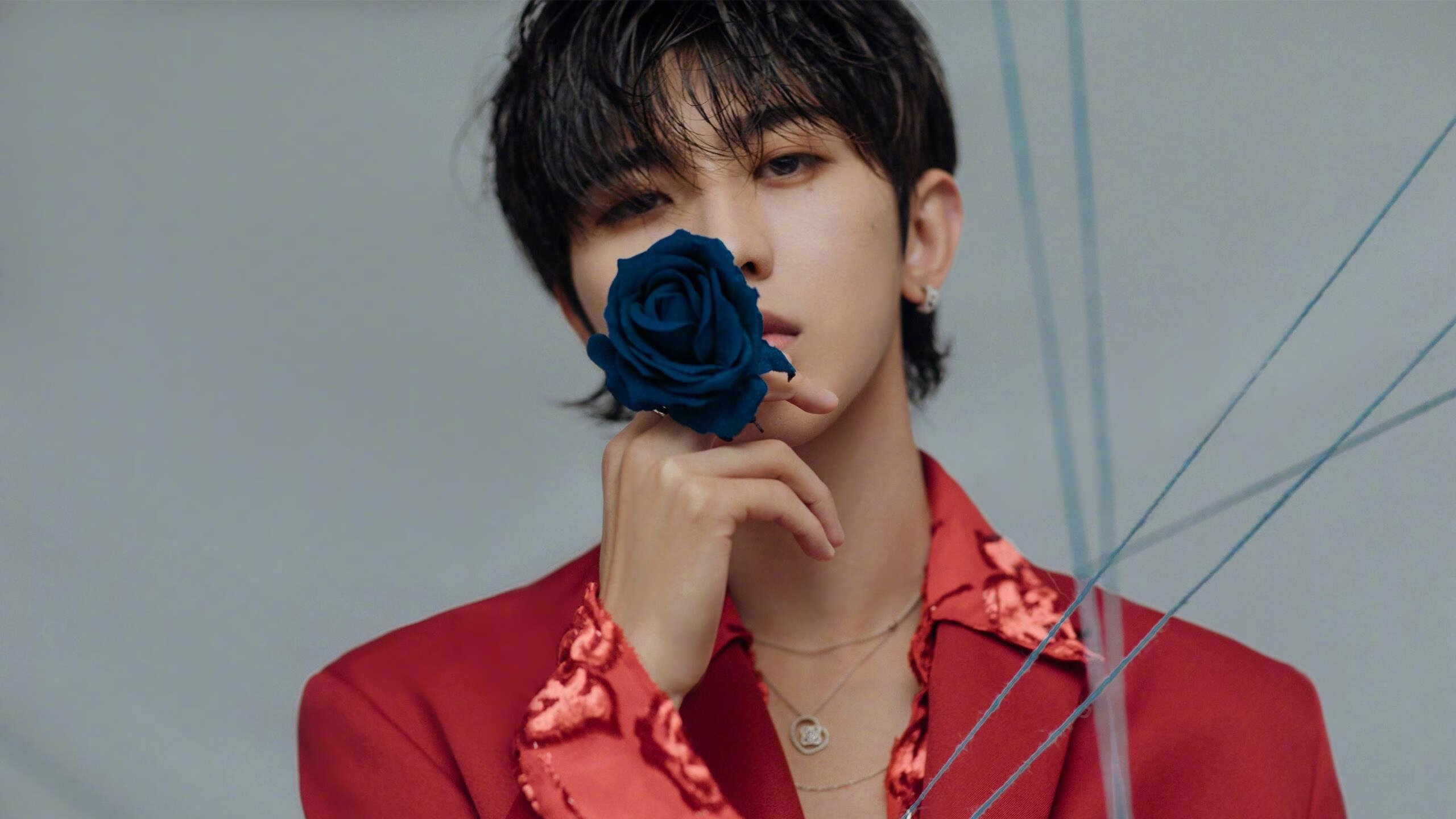 本田车队在日本大奖赛中表现出色，honda车队