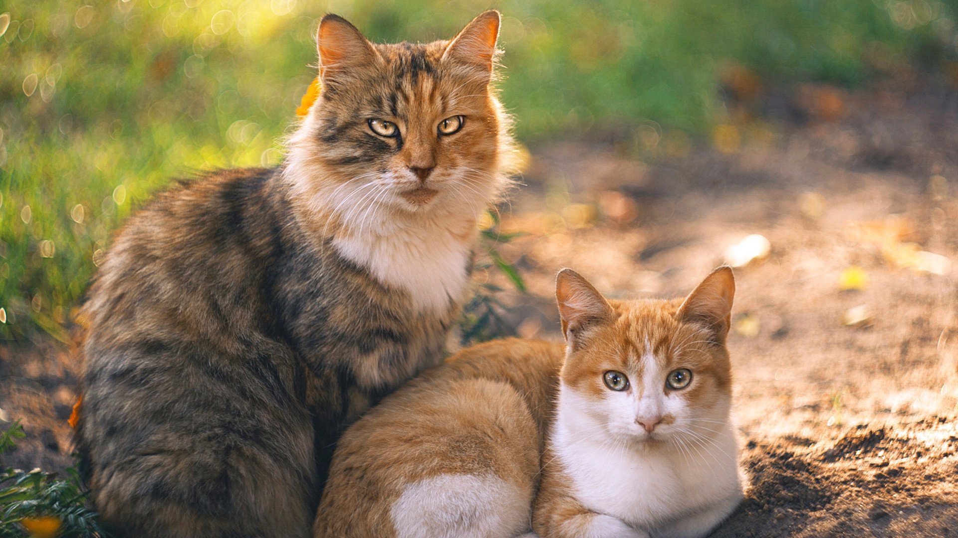 电竞与娱乐行业的深度融合：内容创新，形式多样，娱乐跟电竞的区别