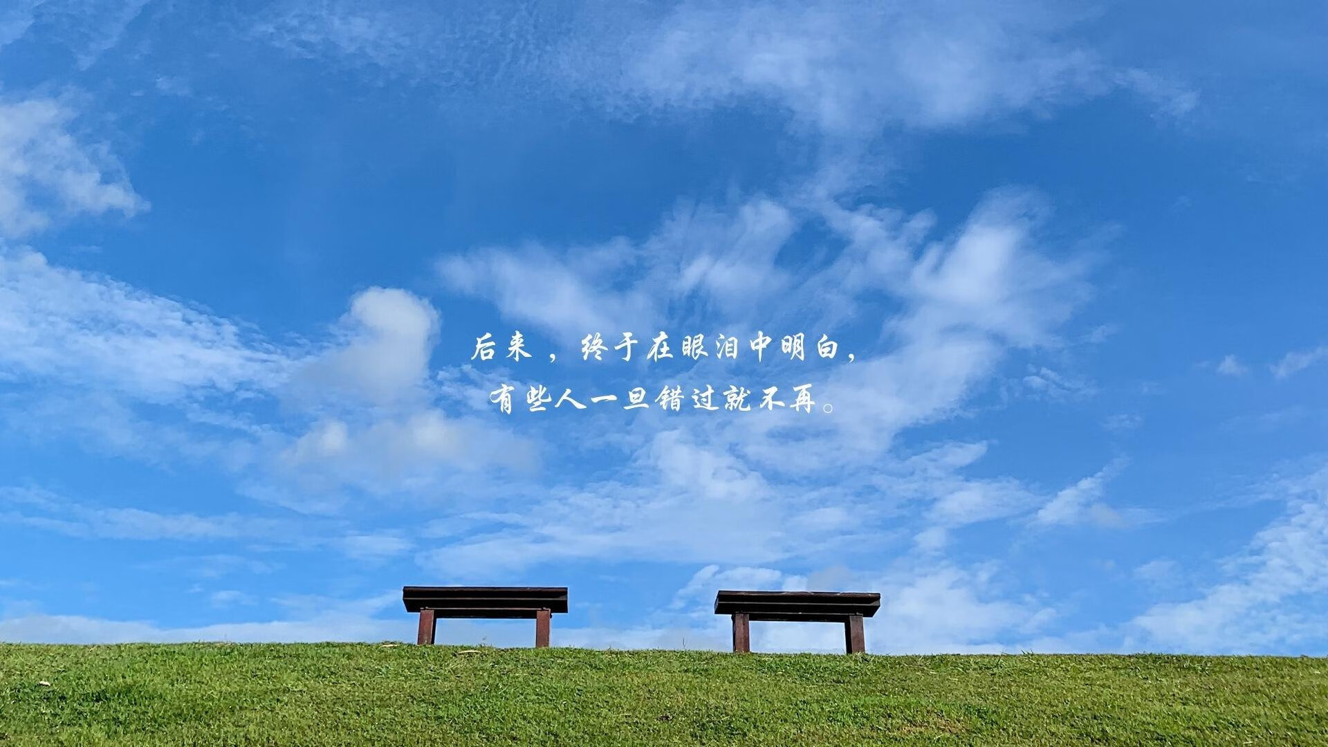 荷兰骑手 Merel Blom-Hulsman 在巴黎奥运会三项赛中获得第八名，展现坚韧精神。