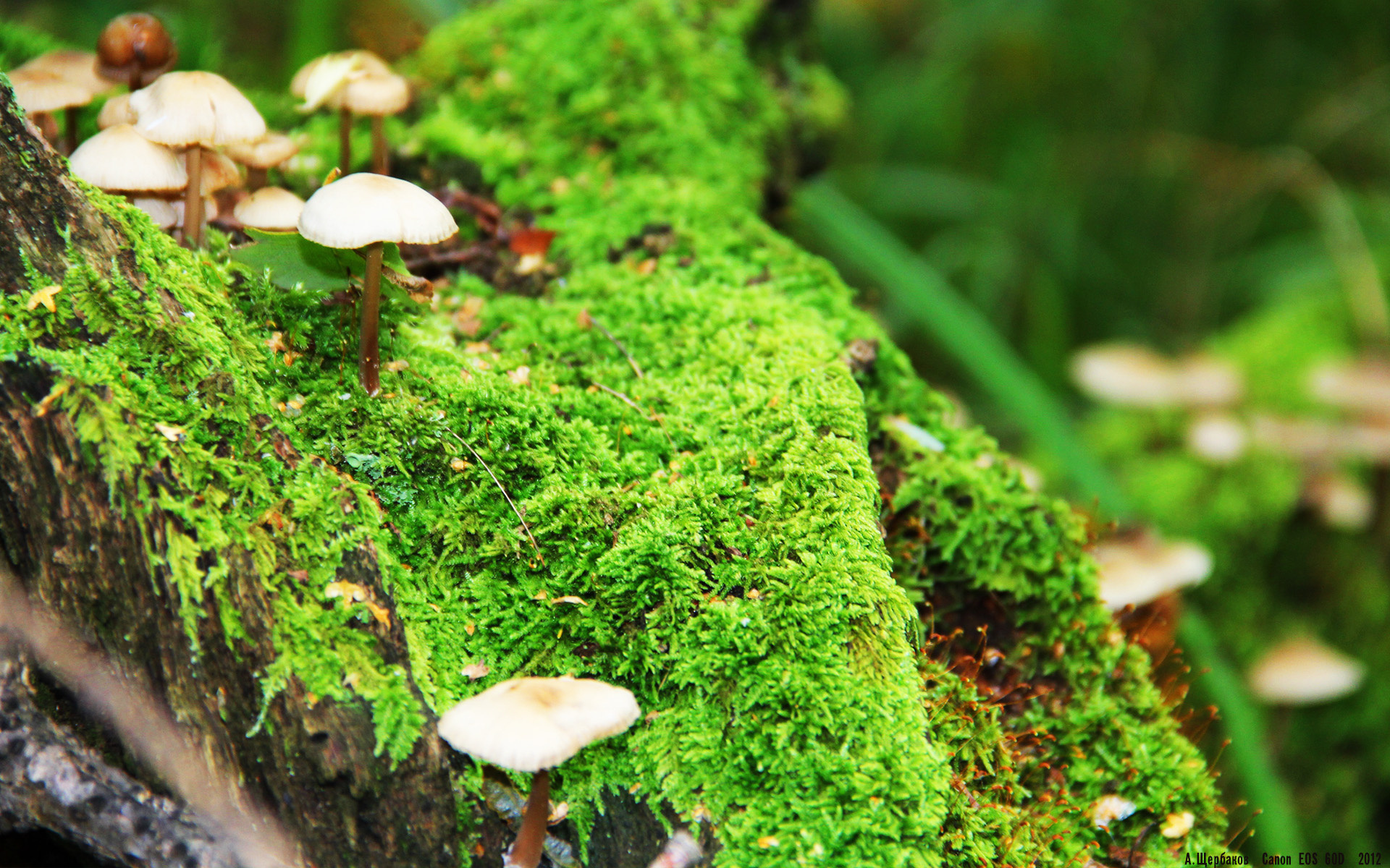 超级策略曝光：轮胎更换的决胜关键，轮胎更换操作流程