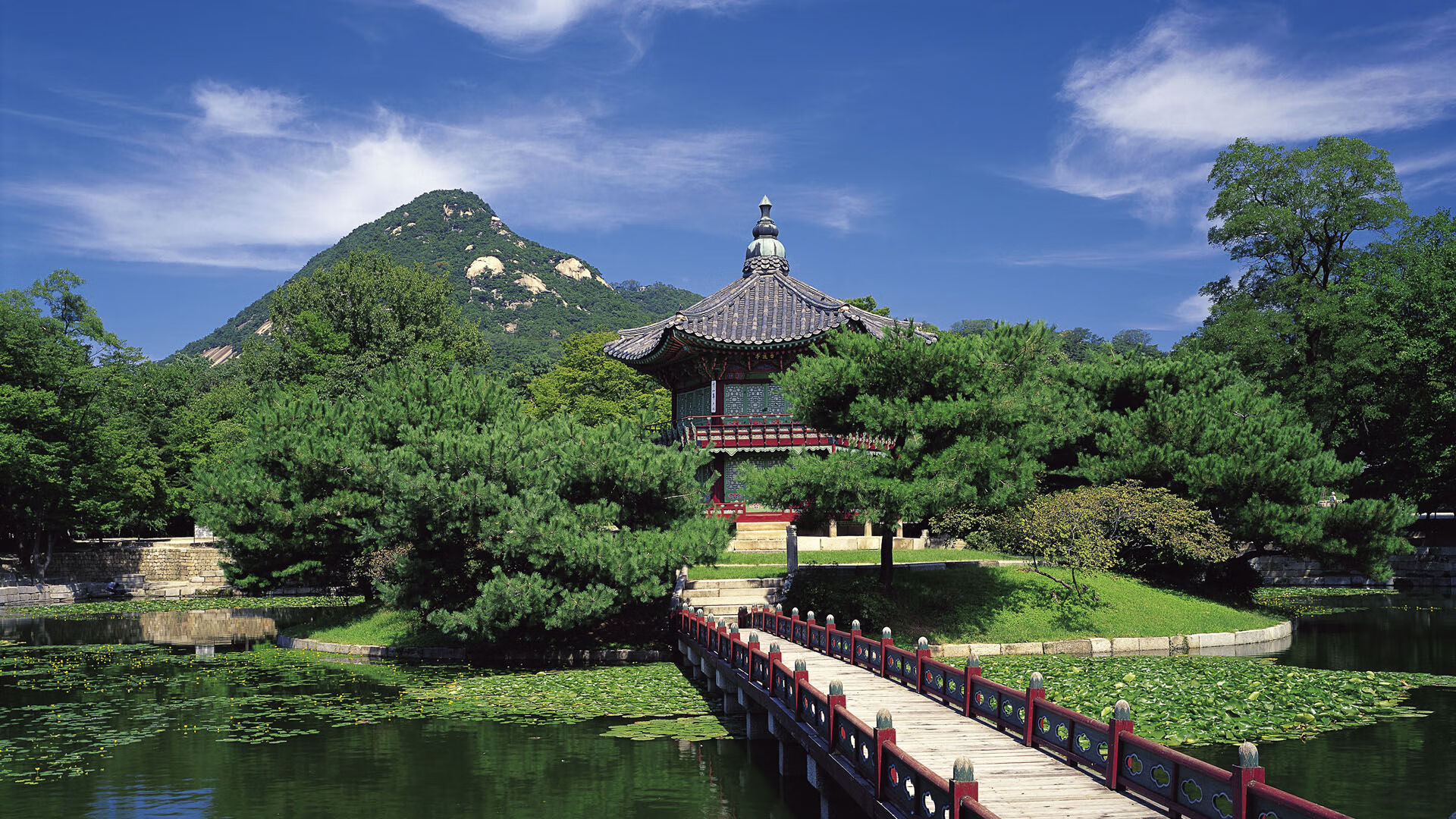 超高速通讯：赛场内的高速网络，超高速的意思