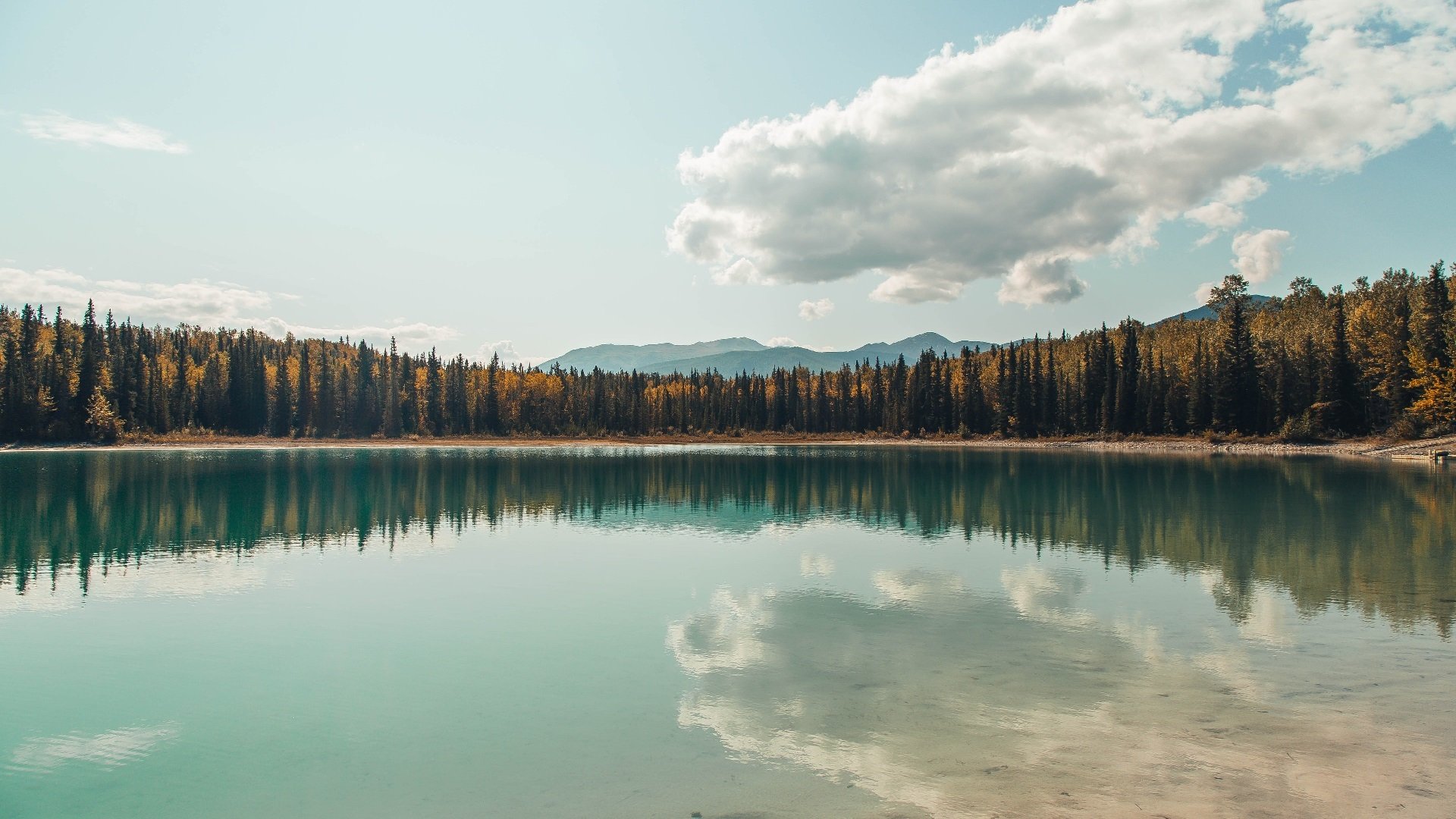 越野摩托车极限赛，挑战荒野的极致体验，越野摩托车比赛
