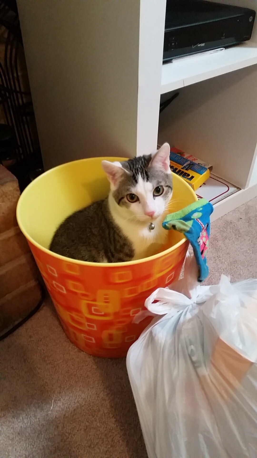 高光瞬间：本周比赛最炸裂的精彩片段，精彩高光时刻