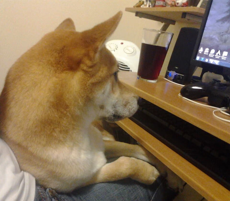 切尔西主场轻松战胜狼队，追赶积分领头羊，切尔西队狼队比赛结果