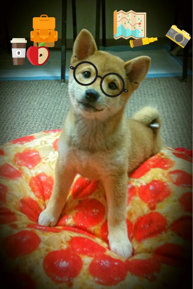 胜负难预测！强队对决谁能笑到最后，与强队对决