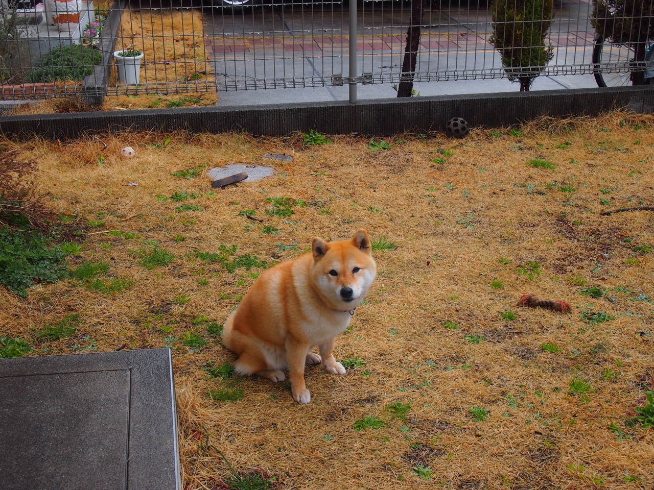 阿尔梅里亚客场-战胜赫特菲，卡沙伊斯进球制胜，阿尔梅里亚吧