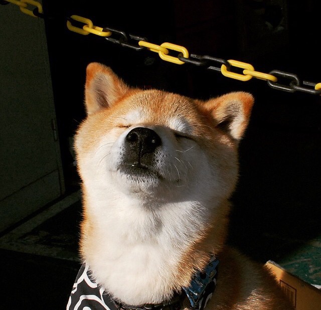 中超赛季数据报告公布揭示技术进步趋势，2021至2022赛季中超各队情况