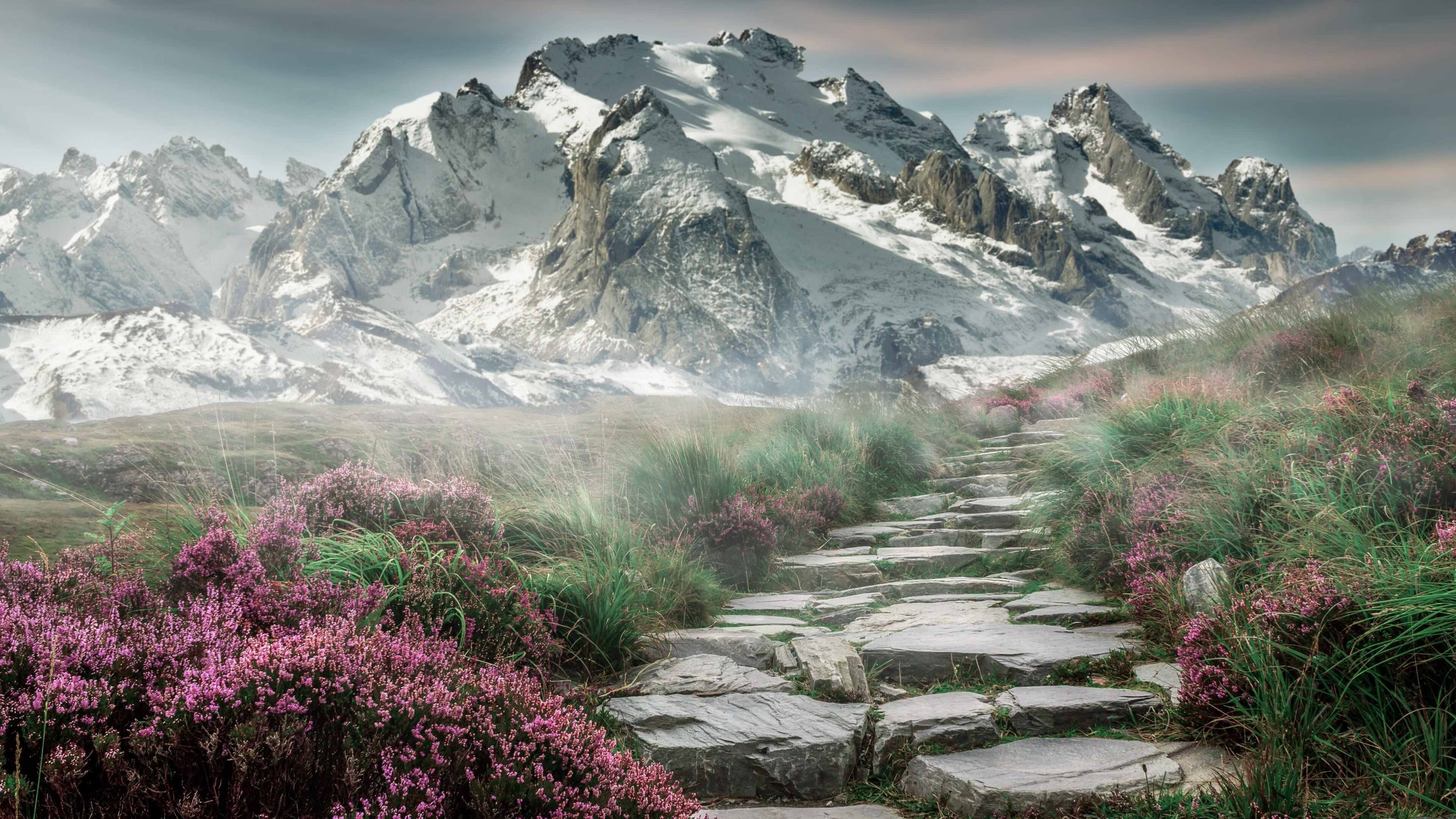 佛罗伦萨传控打法构建多样进攻路径，佛罗伦萨传奇球星