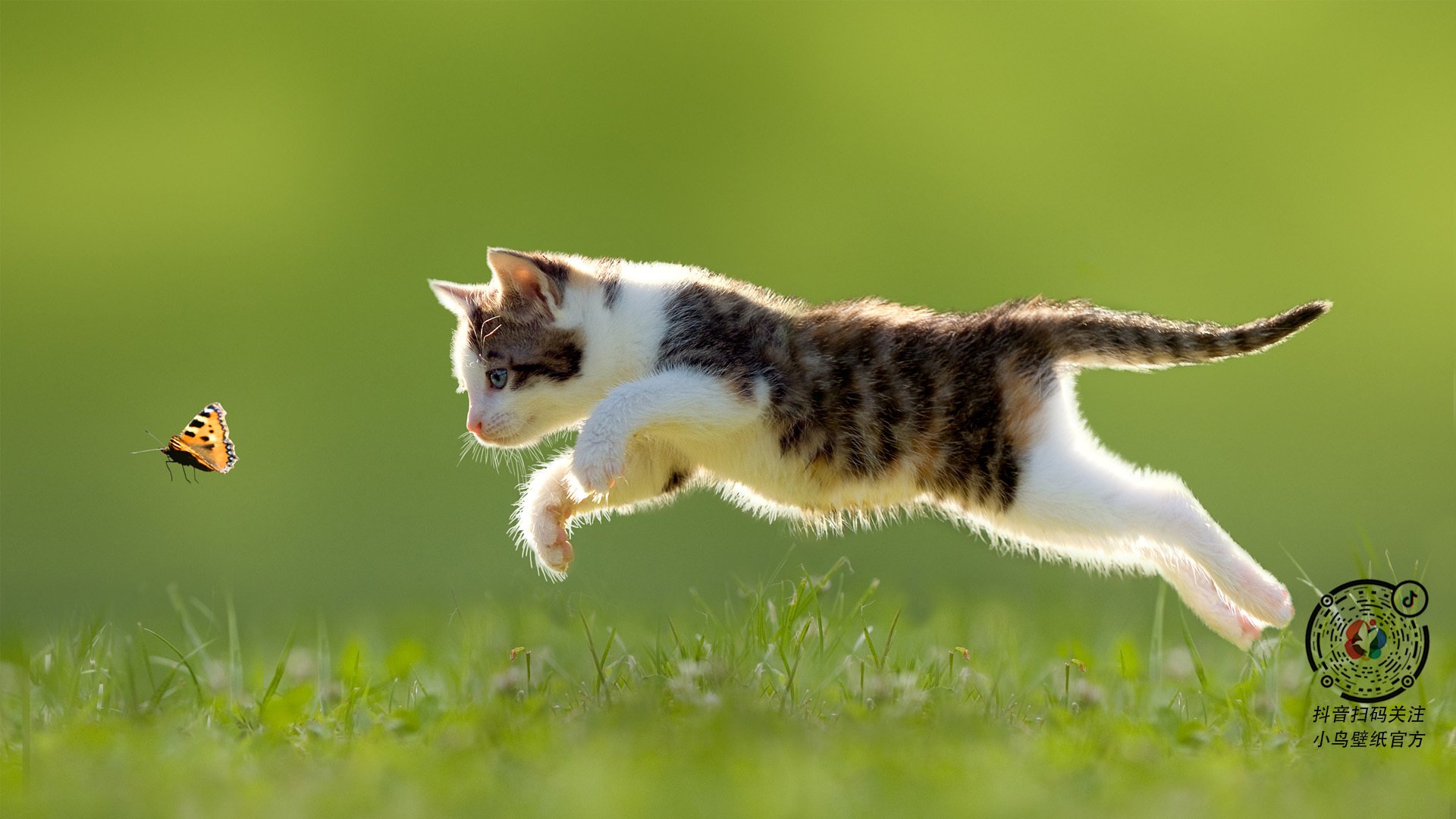 换人频率与节奏控制之间的关系探讨