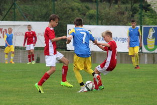 突尼斯希望进攻套路单一，被对手识破，突尼斯是啥意思