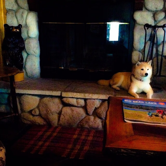 足球青训跨区域交流营激发潜力选手涌现，足球青训城市