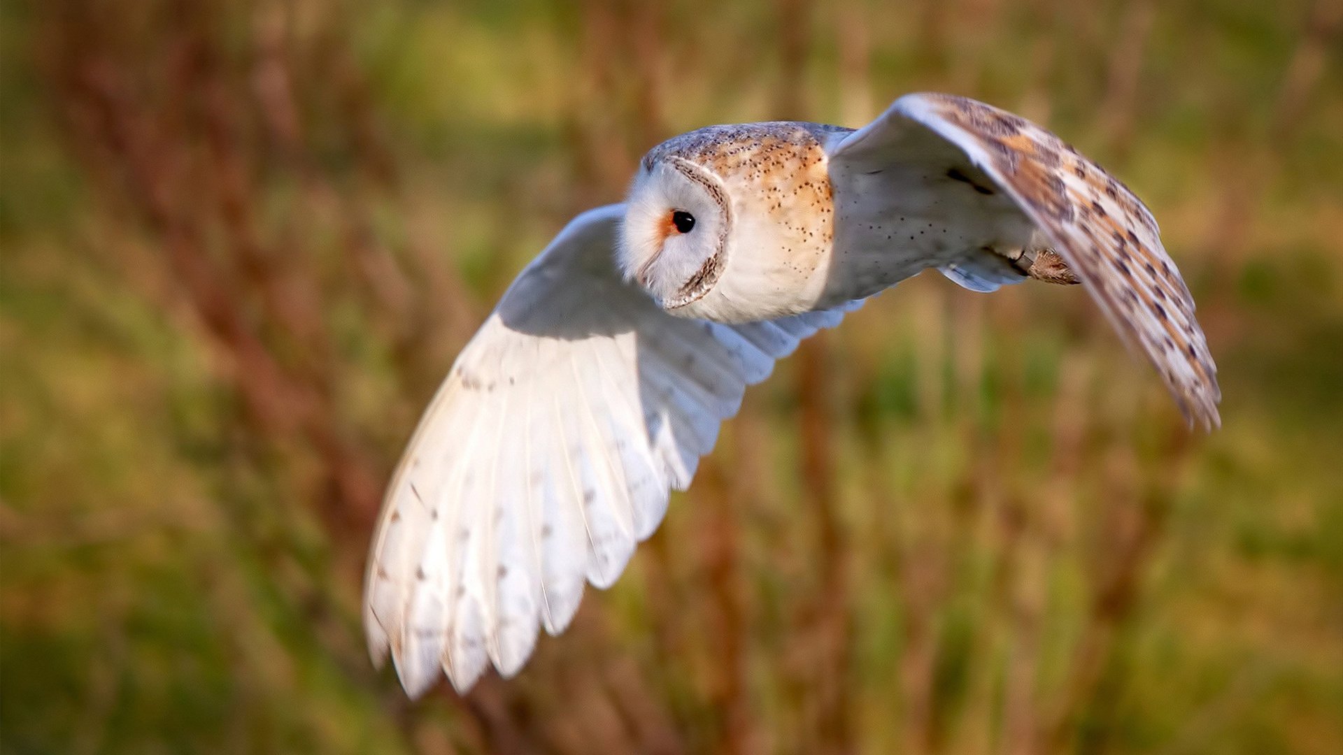 国家队组织体能专项比拼强化比赛持续作战能力，国家队 体能